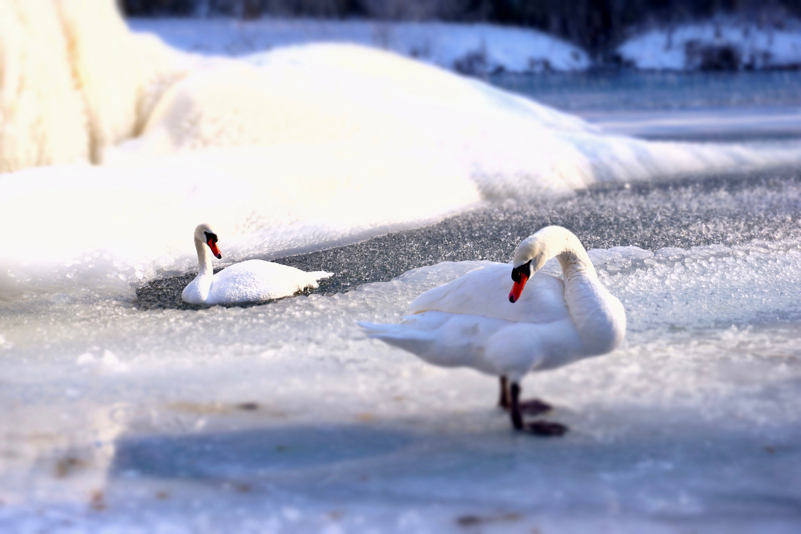 Eiszeit