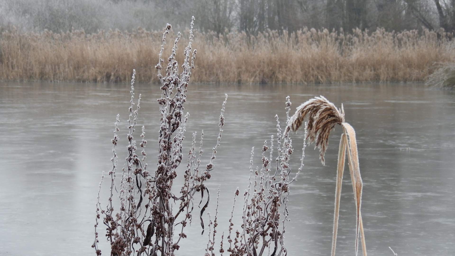 Eiszeit