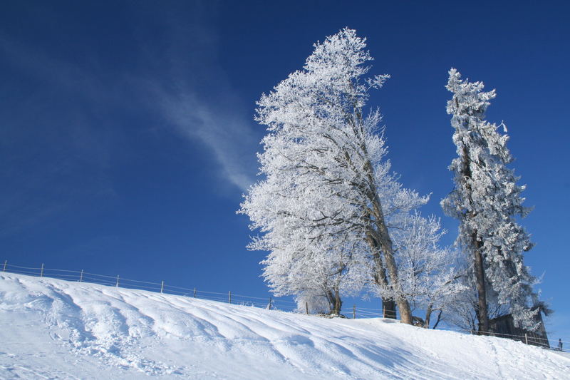 Eiszeit