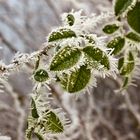 *** Eiszeit ***