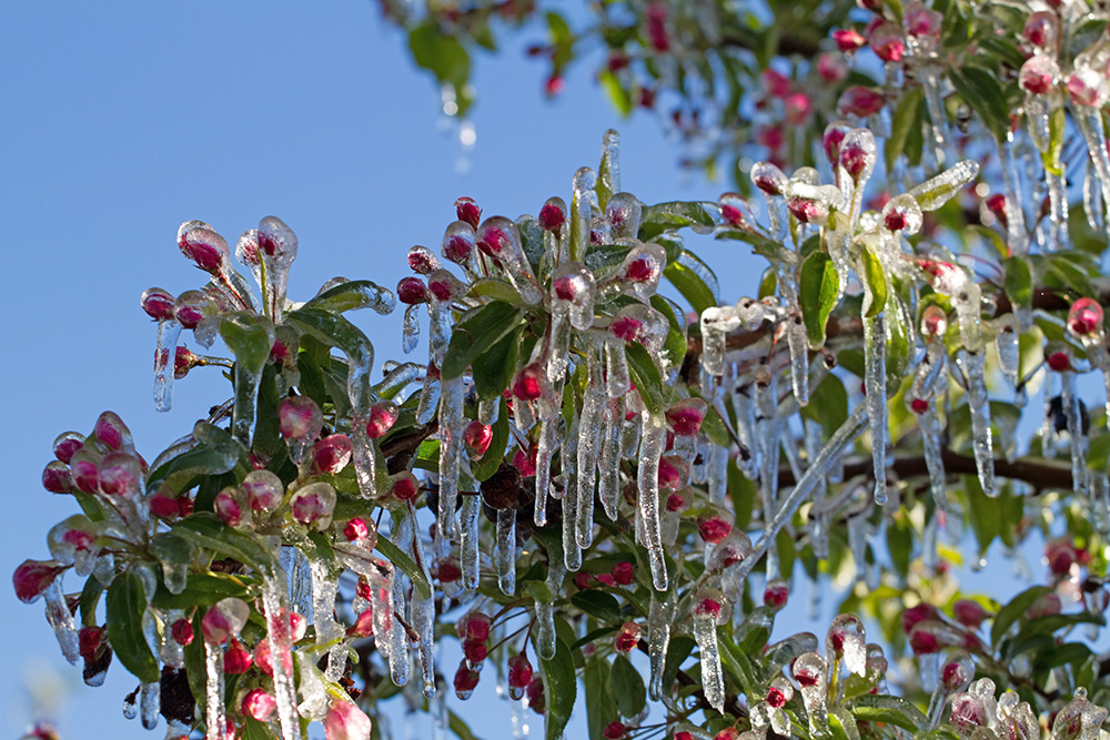 Eiszeit