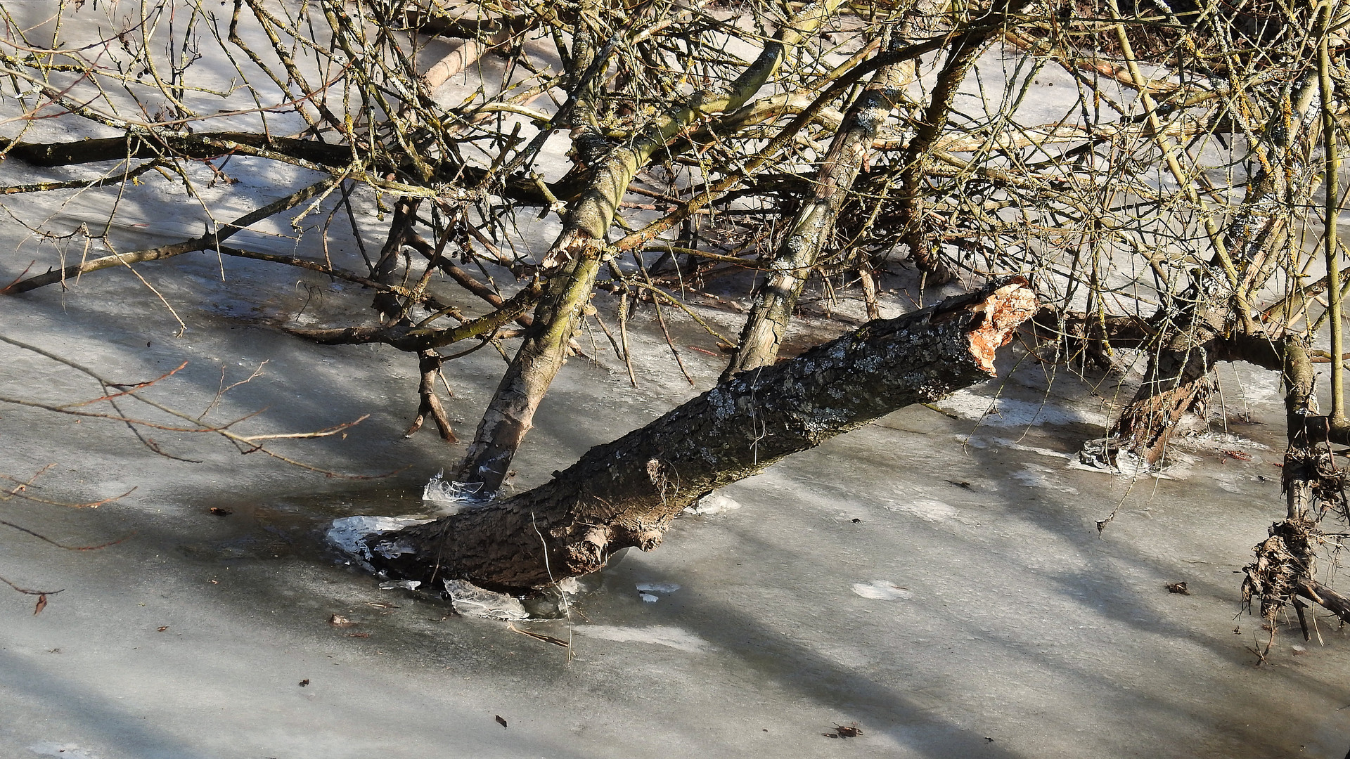 Eiszeit  