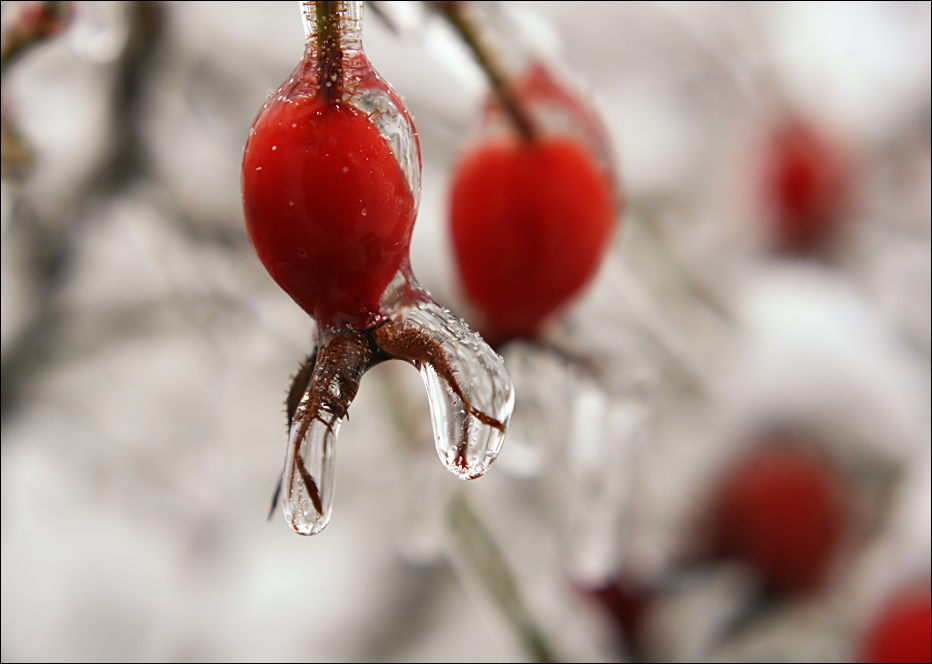 Eiszeit