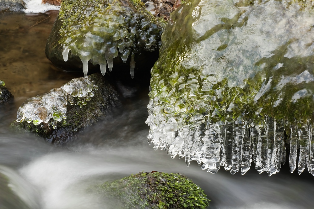 Eiszeit am Bach 1