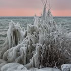 Eiszeit am Bodensee