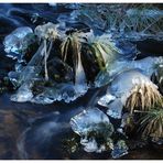 Eiszeit am Kroppenbach I