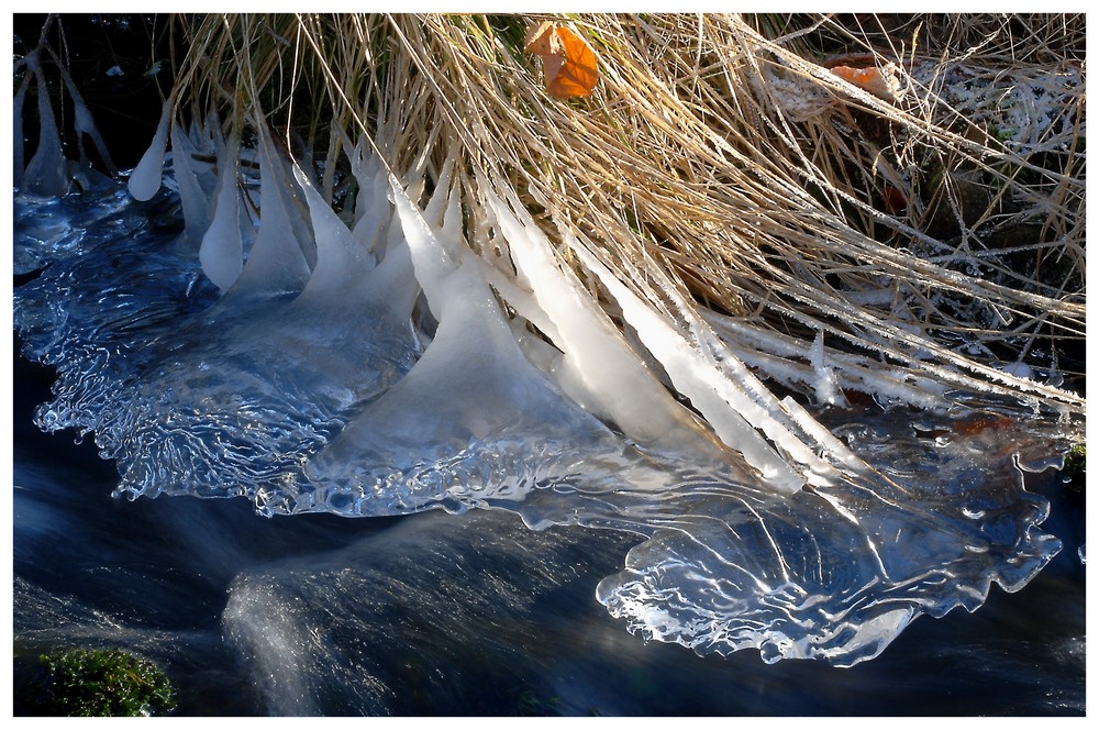 Eiszeit am Kroppenbach II