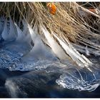 Eiszeit am Kroppenbach II