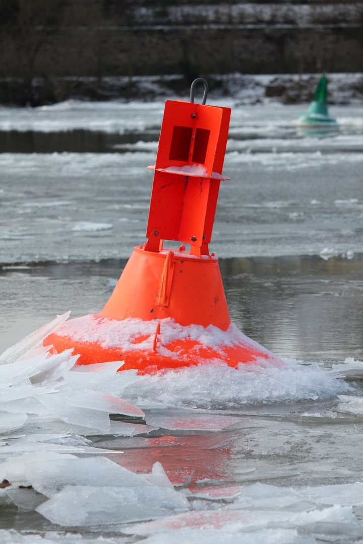 Eiszeit am Neckar