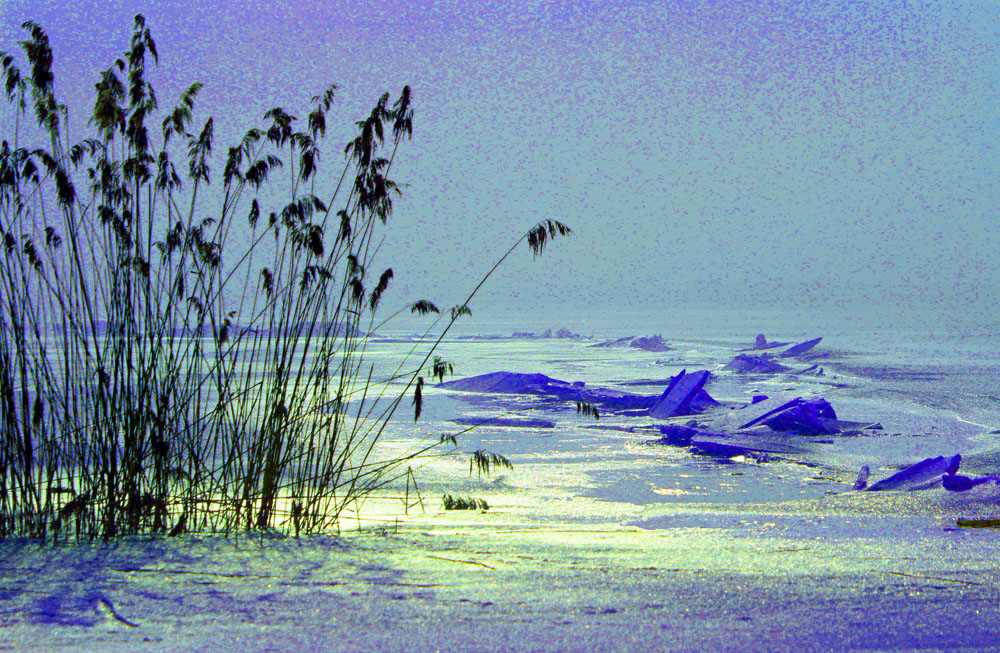 Eiszeit am Pfäffikersee