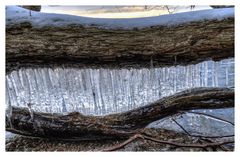 Eiszeit am Schweriner See (3)