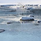 Eiszeit am See (2)