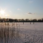 Eiszeit am See