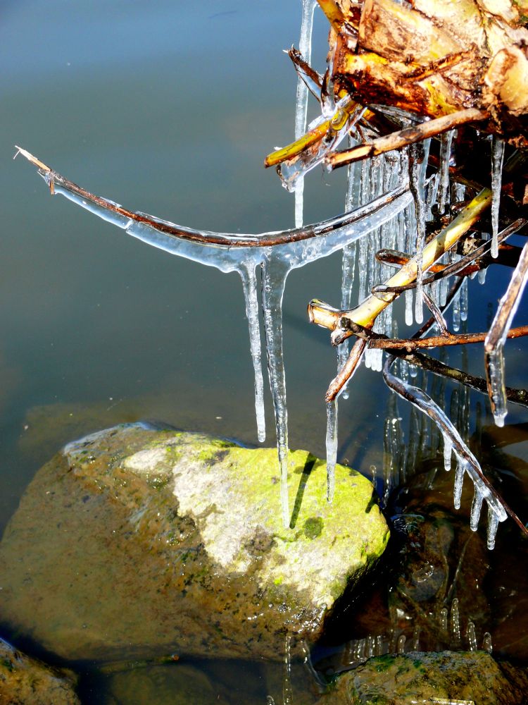 Eiszeit am Steinhuder Meer