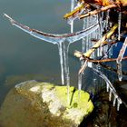 Eiszeit am Steinhuder Meer