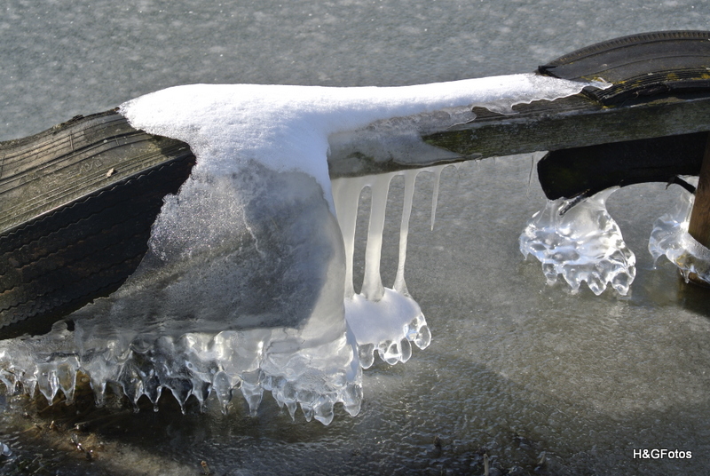 Eiszeit am Steinhuder Meer