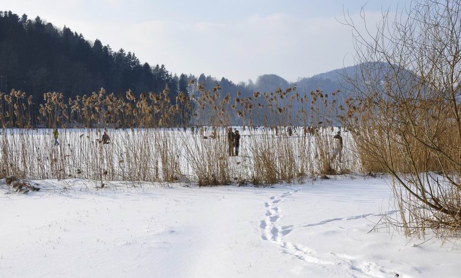 Eiszeit am Türlersee