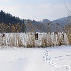 Eiszeit am Türlersee