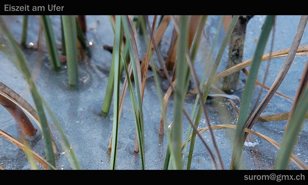 Eiszeit am Ufer