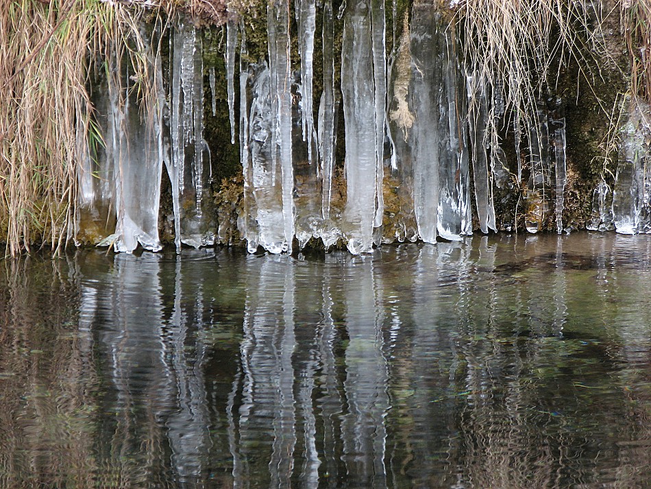 Eiszeit am Ufer der Aare1