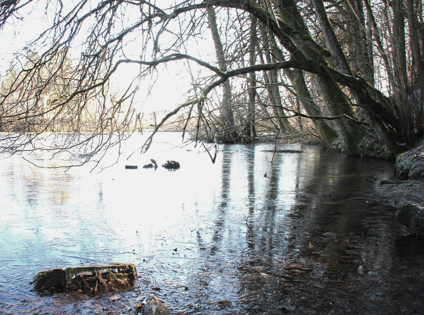 Eiszeit am Weiher