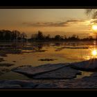 Eiszeit an der Elbe (3)