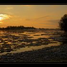 Eiszeit an der Elbe (4)