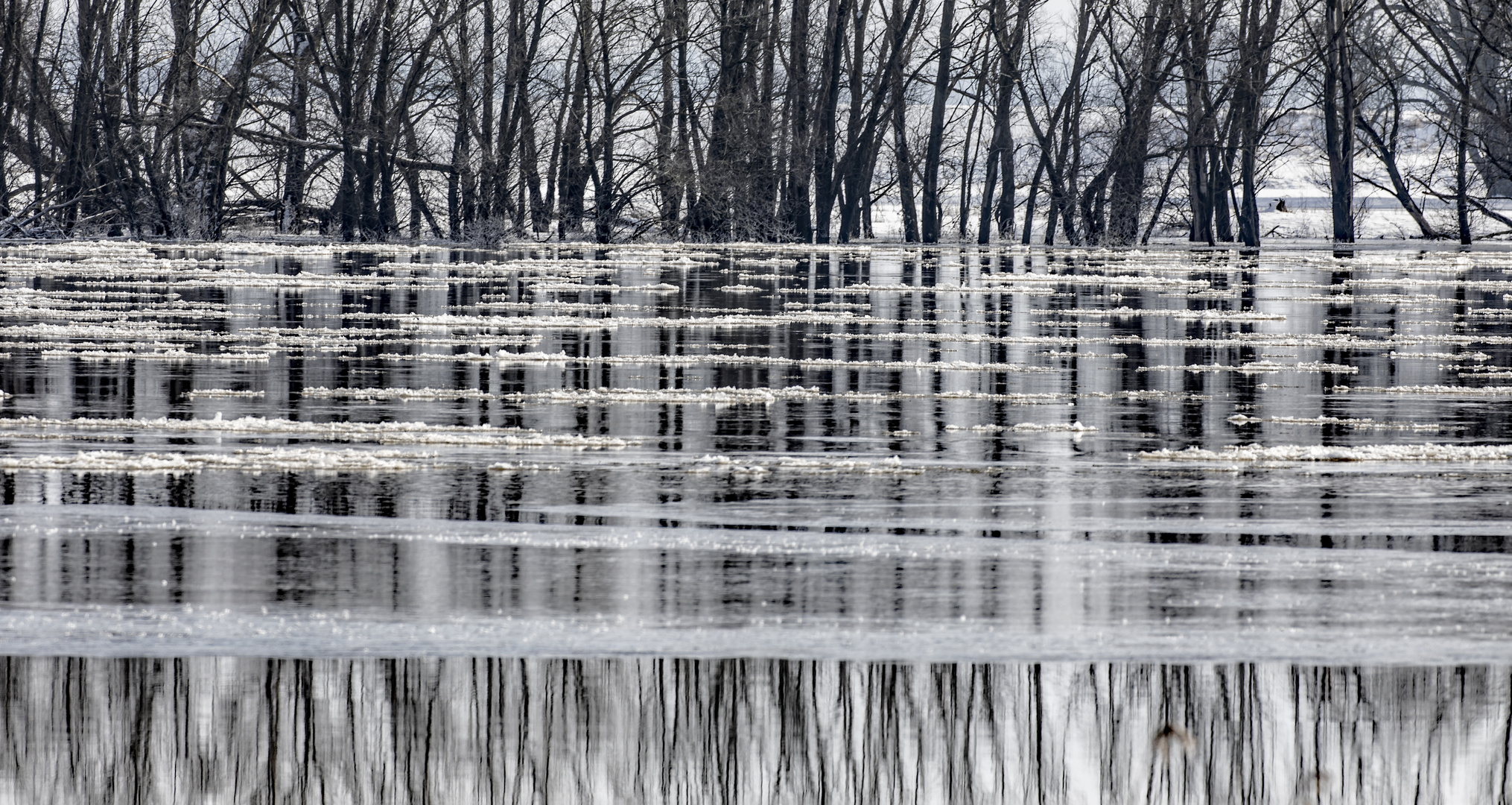 Eiszeit an der Elbe