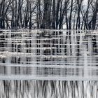 Eiszeit an der Elbe