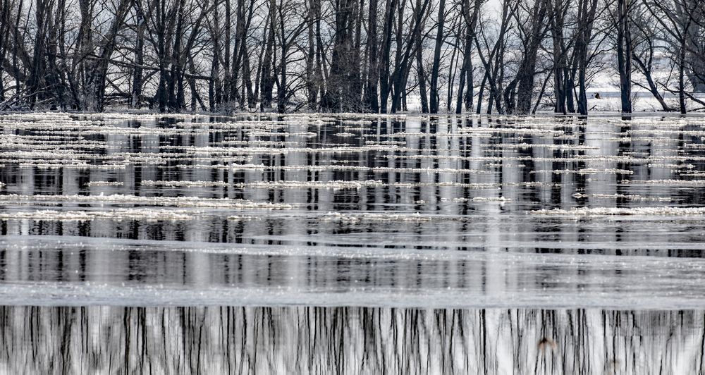 Eiszeit an der Elbe