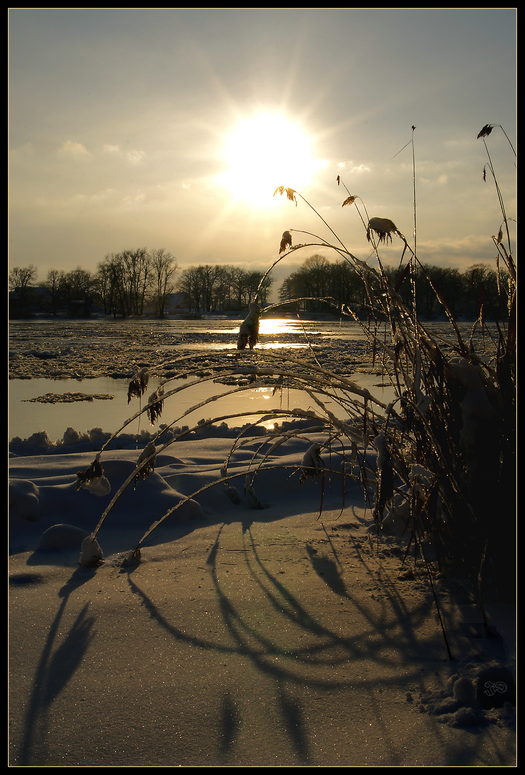 Eiszeit an der Elbe