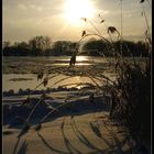 Eiszeit an der Elbe