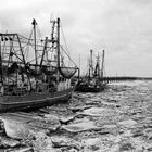 Eiszeit an der Nordsee 2