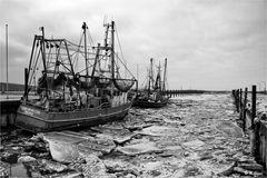 Eiszeit an der Nordsee 2