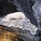 Eiszeit an  süddeutschen Bächen und Flüssen 2