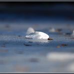 Eiszeit auch am Teich !