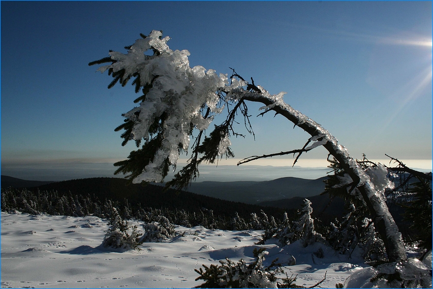 Eiszeit auf dem Brocken...