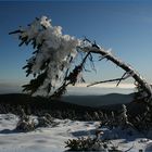 Eiszeit auf dem Brocken...