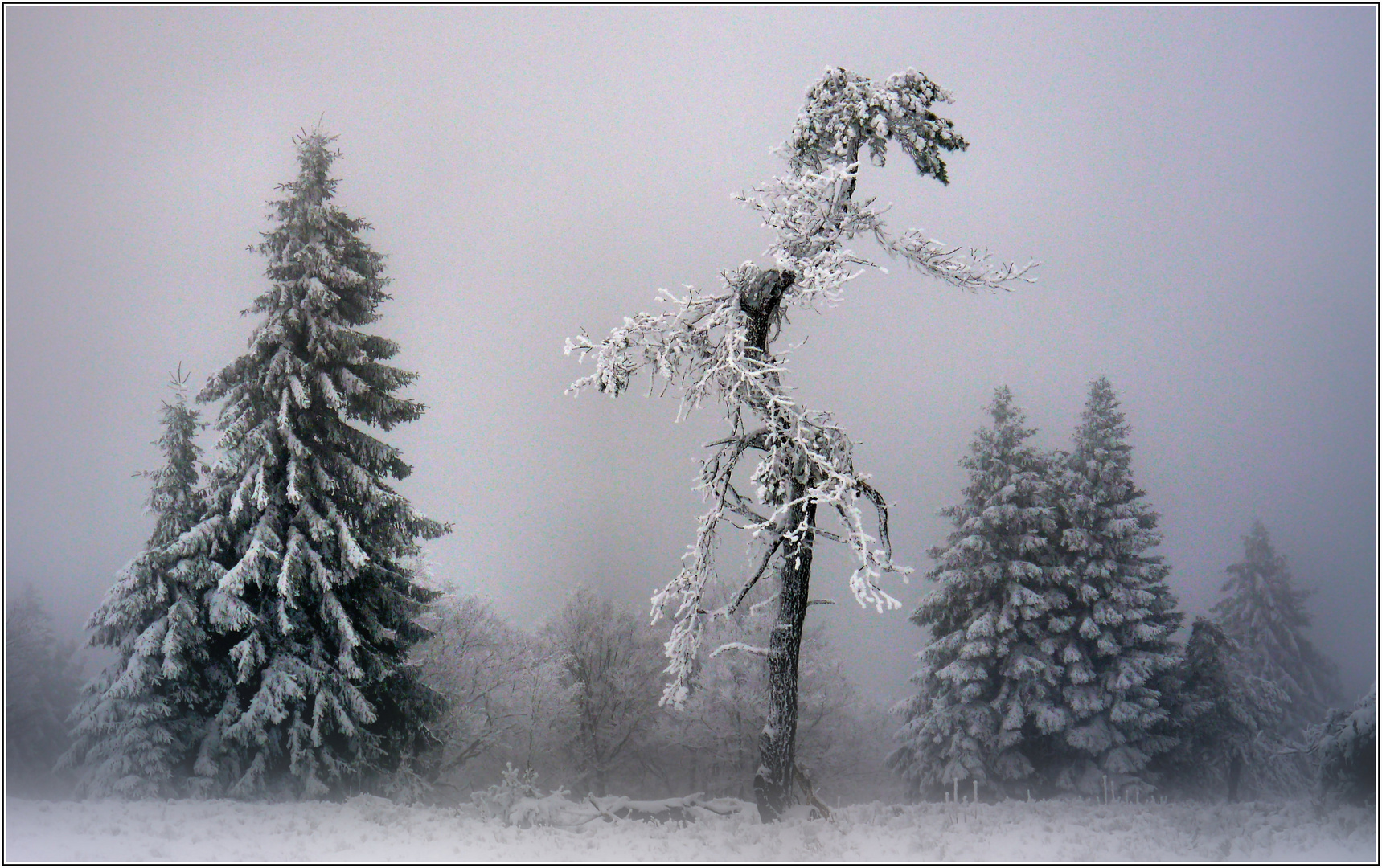 Eiszeit auf dem Kahlen Asten