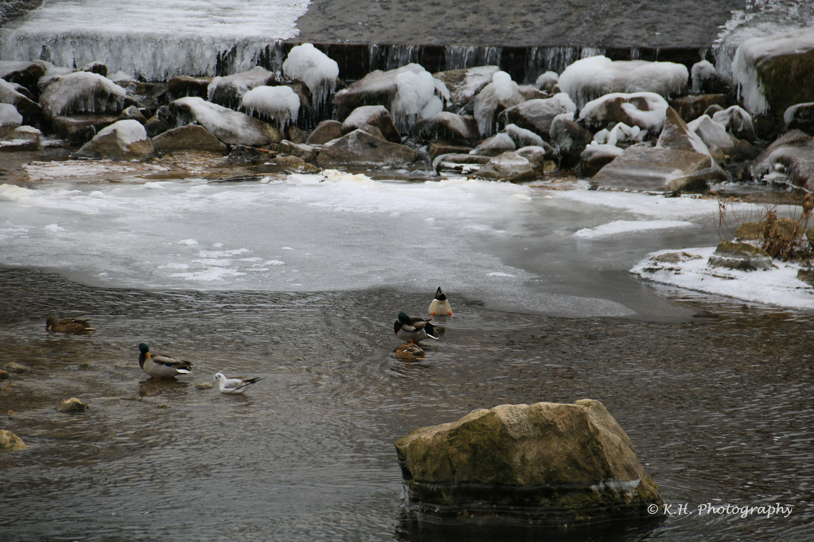 Eiszeit auf dem Neckar in Nürtingen