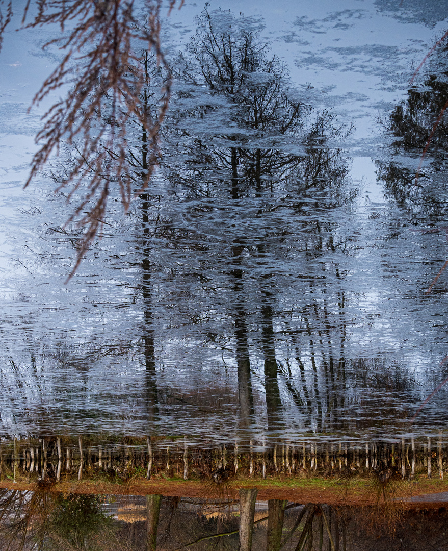 Eiszeit auf dem See