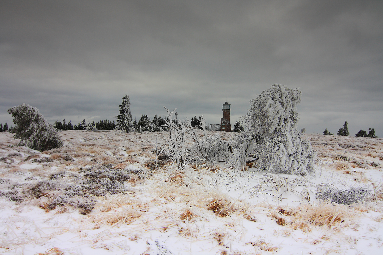 Eiszeit auf der Hornisgrinde