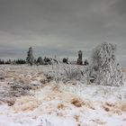 Eiszeit auf der Hornisgrinde