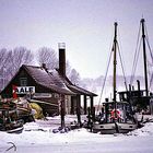 Eiszeit auf der Insel Poel (Winter1991)