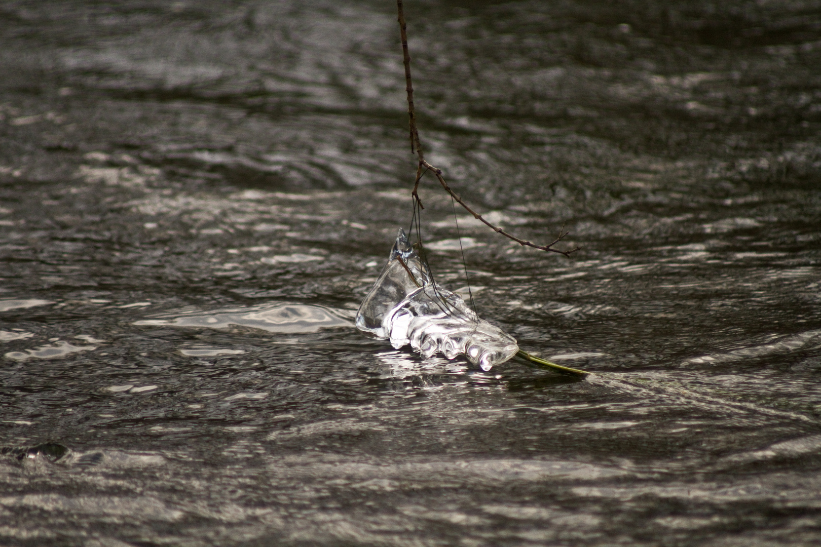 Eiszeit auf der Oberen Donau