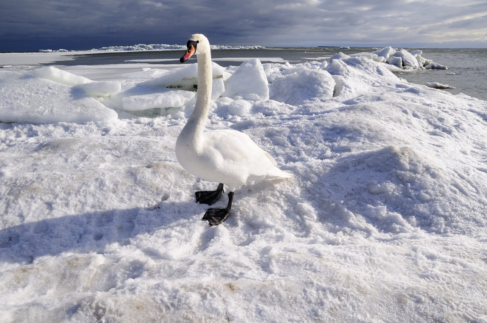 Eiszeit auf Rügen /Thiessow)