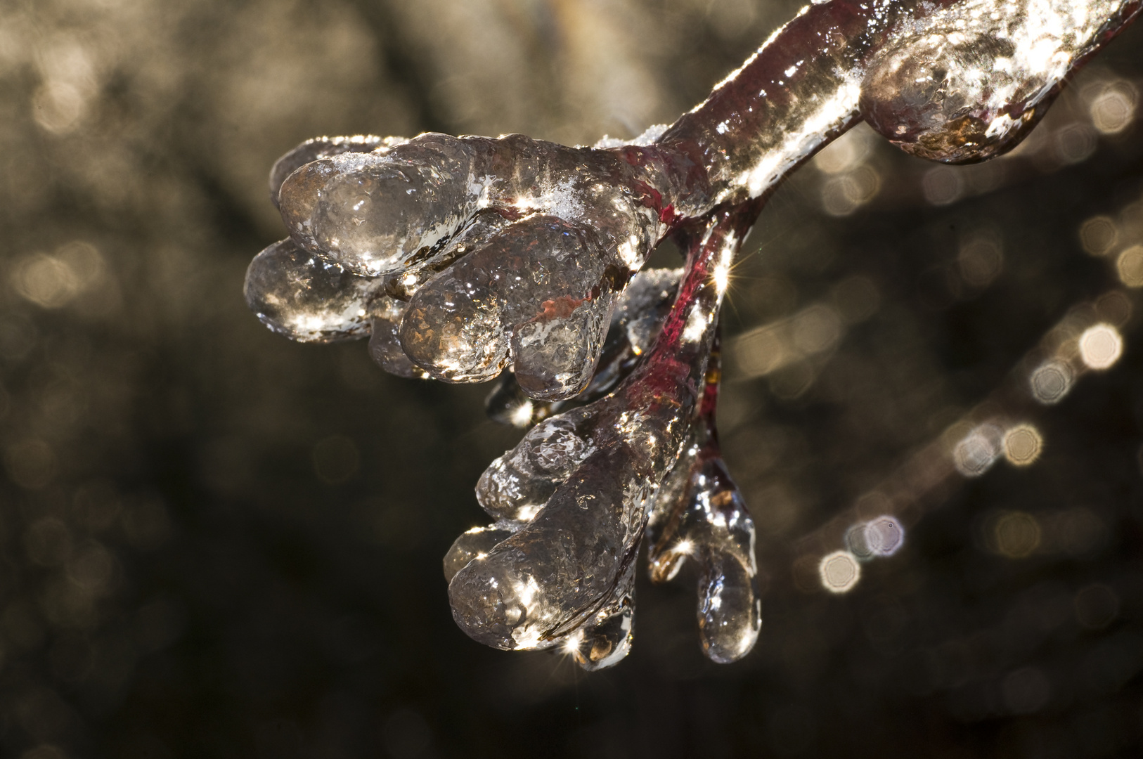 Eiszeit