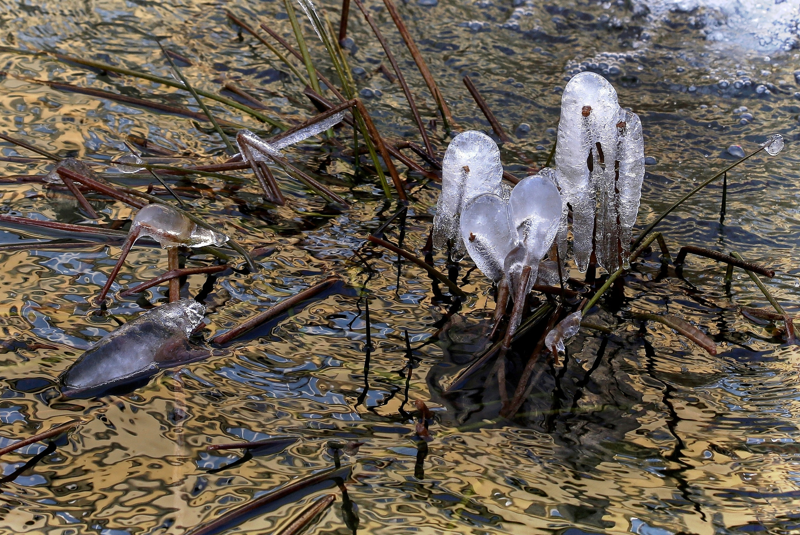 Eiszeit