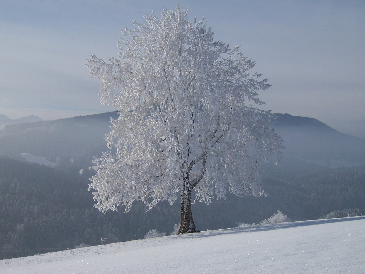 Eiszeit