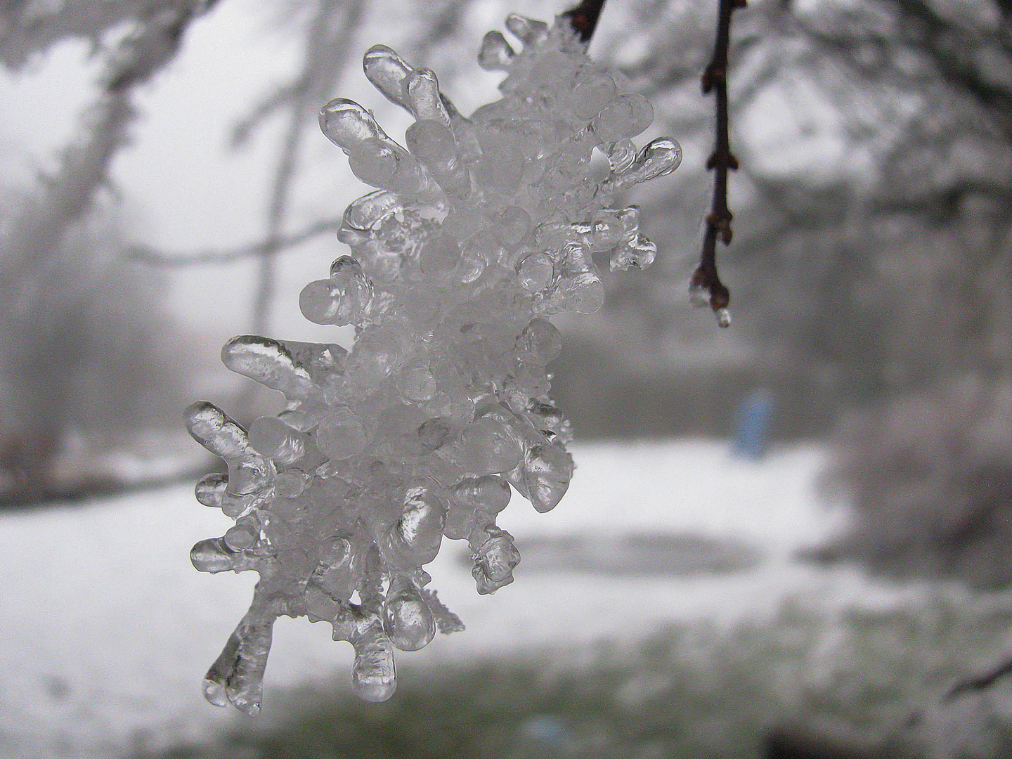 Eiszeit